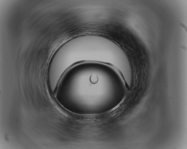 X0000097490049200803071748