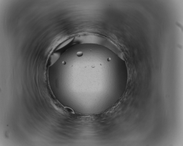 X0000097490050200803071748