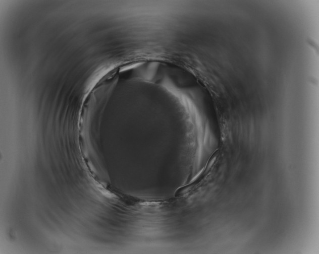 X0000097490052200803071748