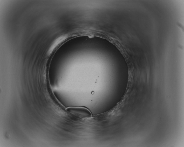 X0000097490054200803071748