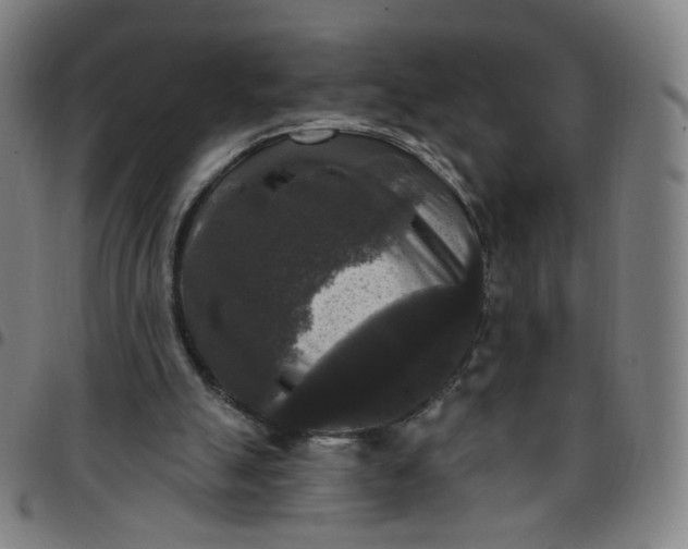 X0000097490055200803071748