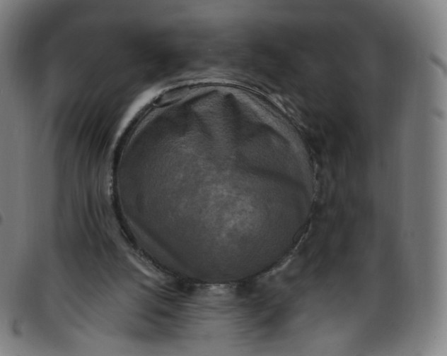 X0000097490056200803071748