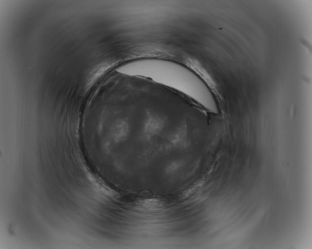 X0000097490058200803071748