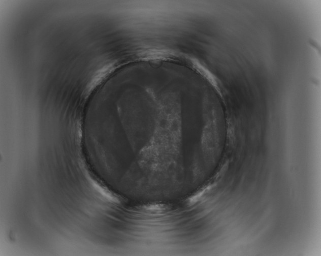 X0000097490059200803071748