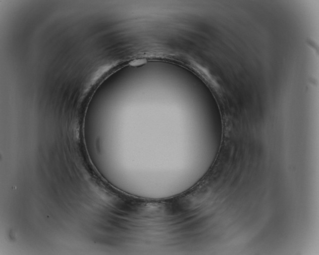 X0000097490060200803071748