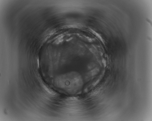 X0000097490061200803071748