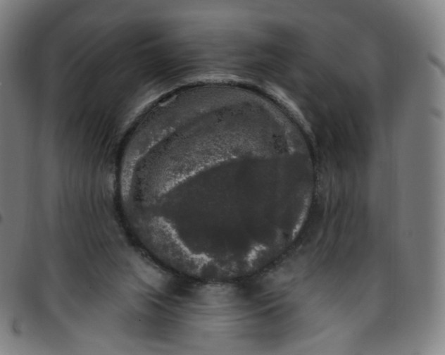 X0000097490063200803071748