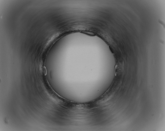 X0000097490064200803071748