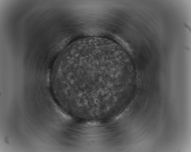 X0000097490065200803071748