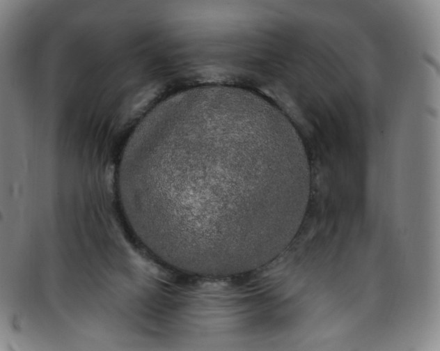 X0000097490066200803071748