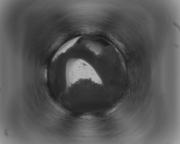 X0000097490067200803071748