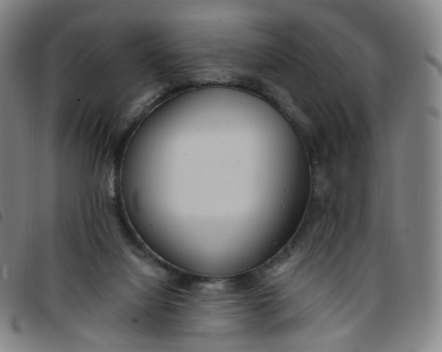 X0000097490068200803071748