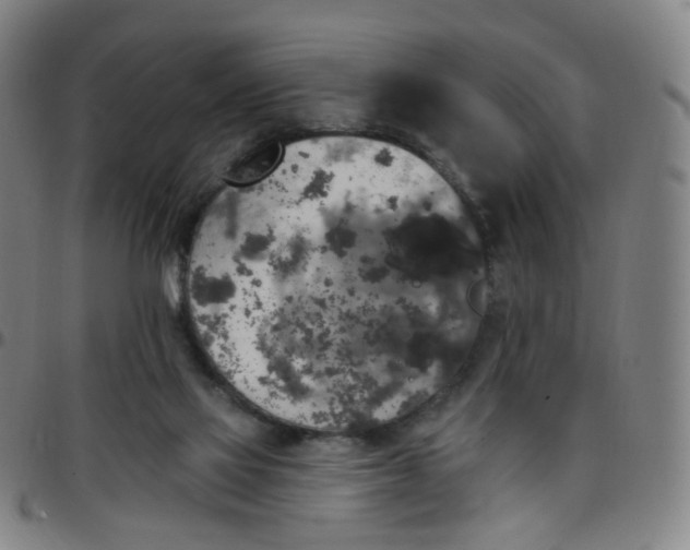 X0000097490069200803071748