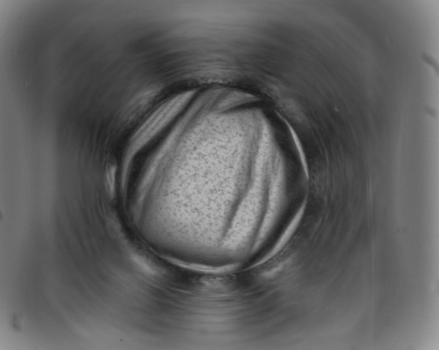 X0000097490070200803071748