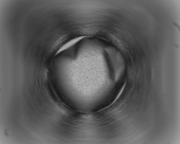 X0000097490071200803071748