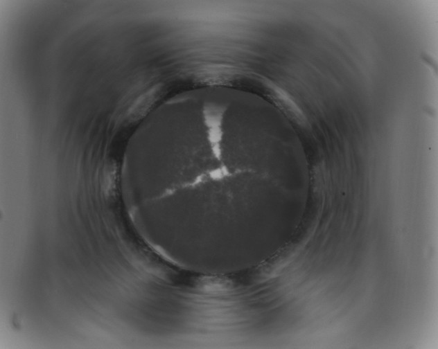 X0000097490073200803071748