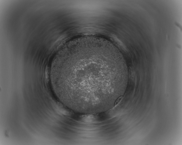 X0000097490074200803071748