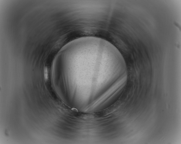 X0000097490075200803071748