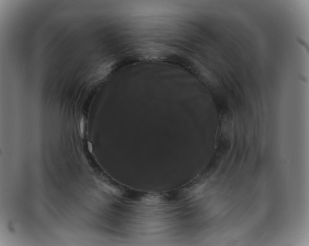 X0000097490076200803071748