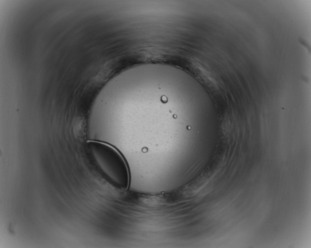 X0000097490079200803071748