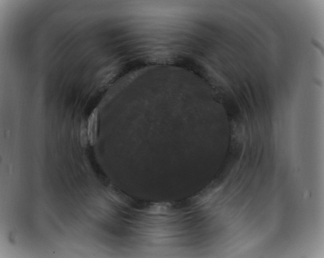 X0000097490080200803071749