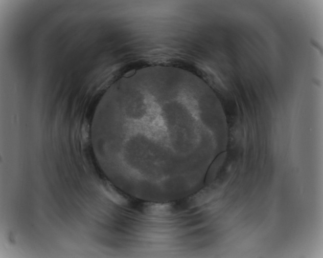 X0000097490081200803071749