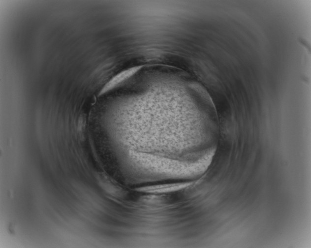 X0000097490082200803071749