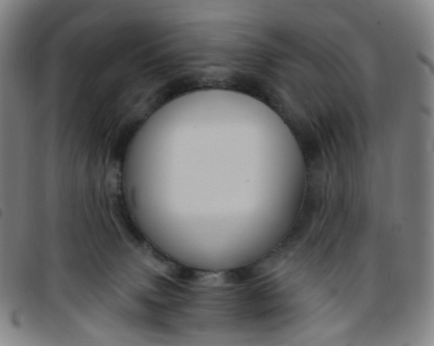 X0000097490083200803071749