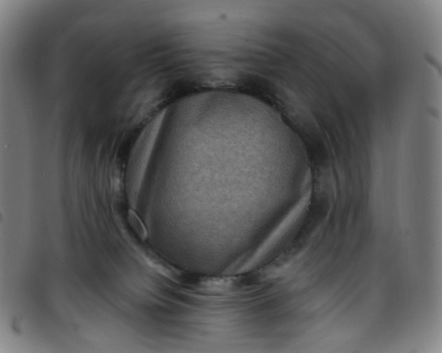 X0000097490084200803071749