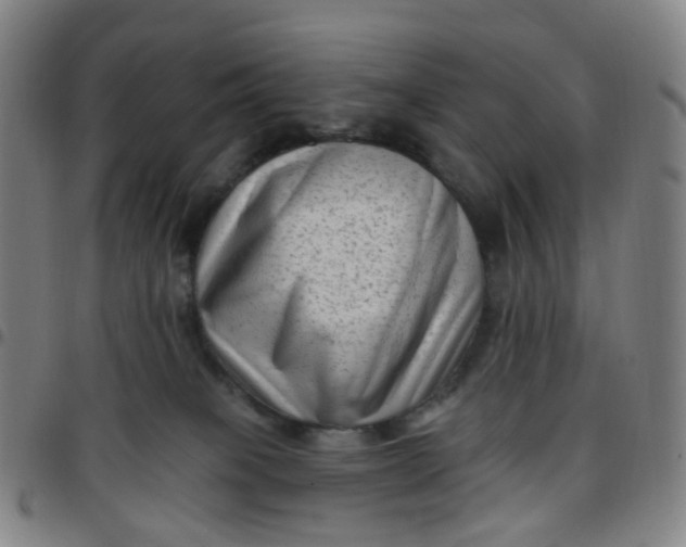 X0000097490085200803071749