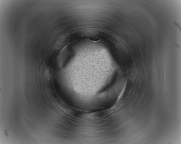 X0000097490086200803071749