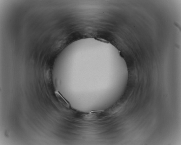 X0000097490088200803071749