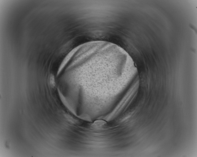 X0000097490089200803071749