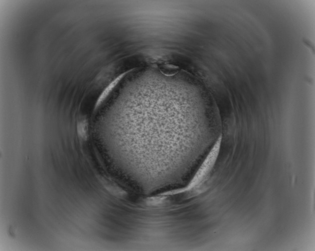 X0000097490090200803071749