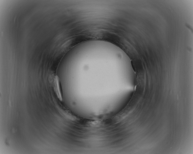 X0000097490092200803071749