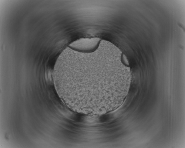 X0000097490094200803071749