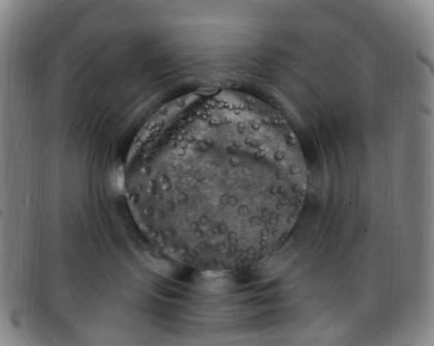 X0000097490095200803071749