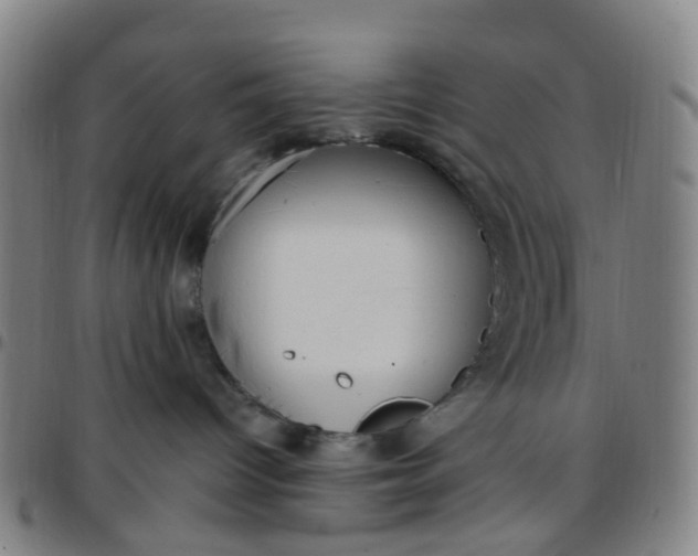 X0000097490096200803071749