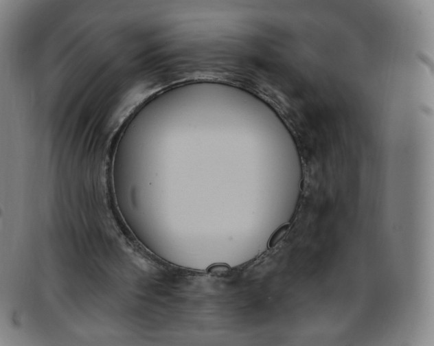 X0000097490098200803071748