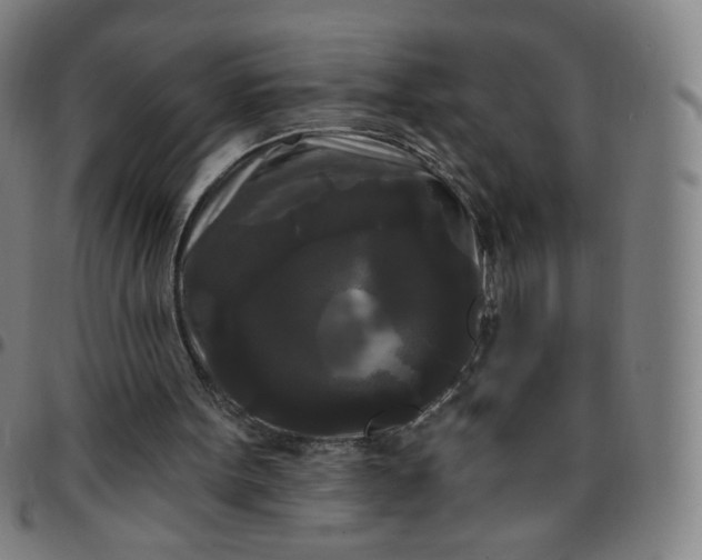 X0000097490099200803071748