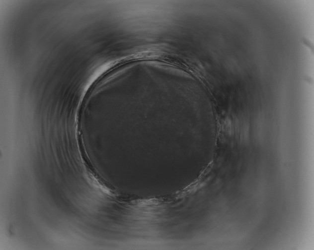 X0000097490100200803071748