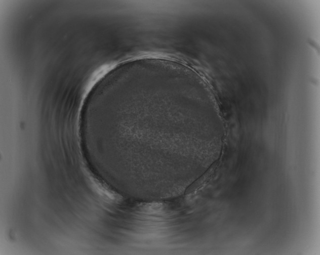 X0000097490104200803071748