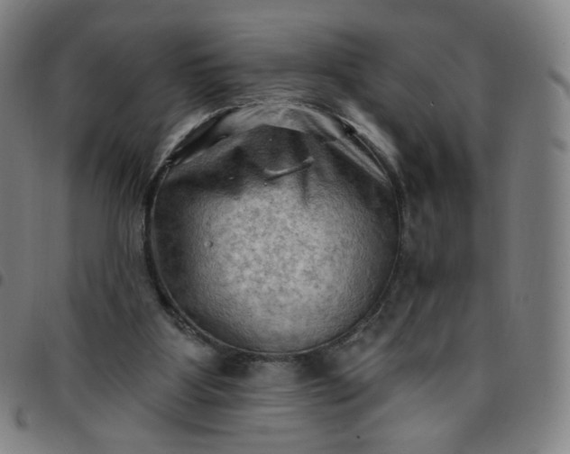 X0000097490107200803071748