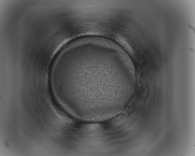 X0000097490108200803071748