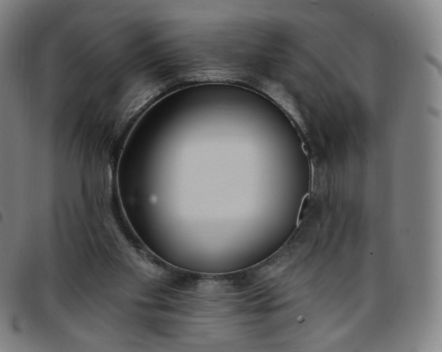 X0000097490109200803071748