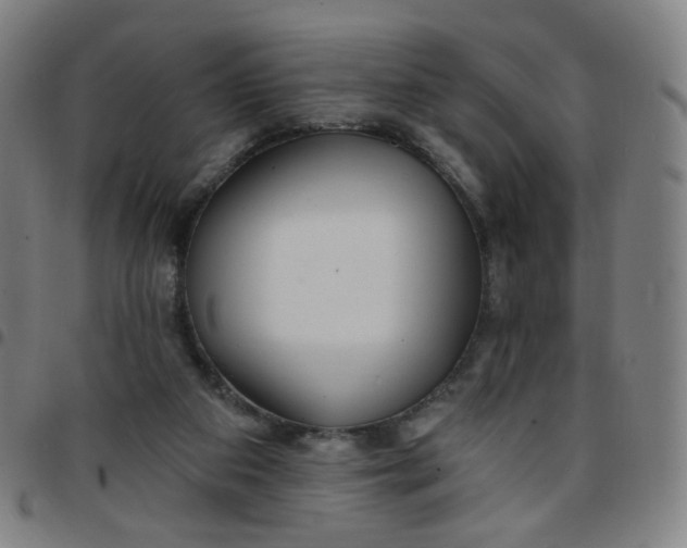 X0000097490113200803071748