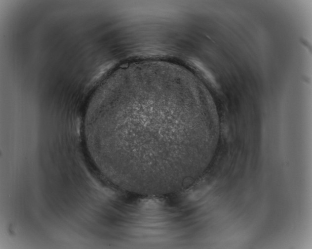 X0000097490115200803071748