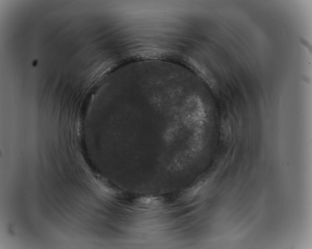 X0000097490117200803071748