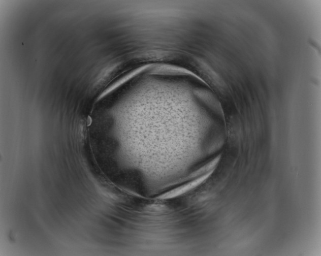 X0000097490119200803071748