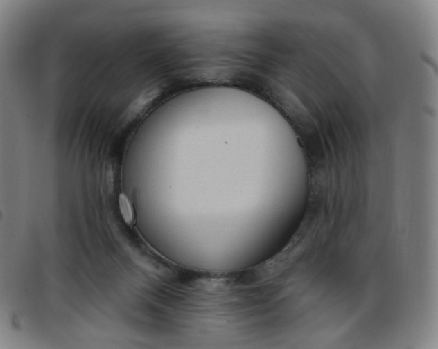 X0000097490120200803071748